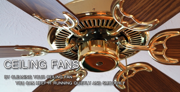 Ceiling Fans